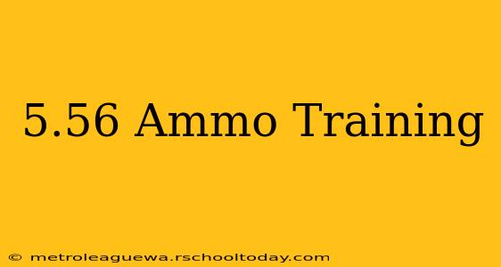 5.56 Ammo Training