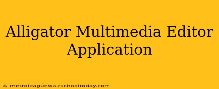 Alligator Multimedia Editor Application