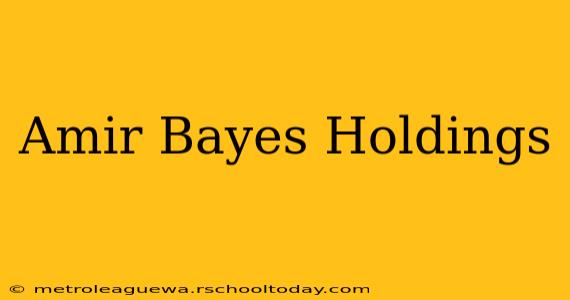 Amir Bayes Holdings