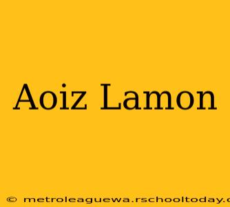 Aoiz Lamon