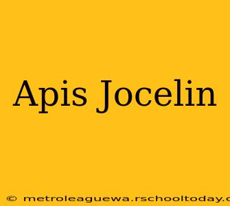 Apis Jocelin