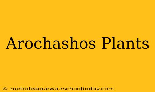 Arochashos Plants