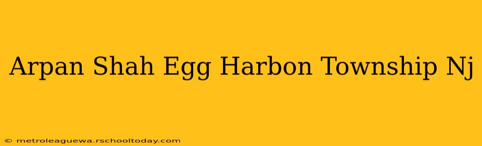 Arpan Shah Egg Harbon Township Nj