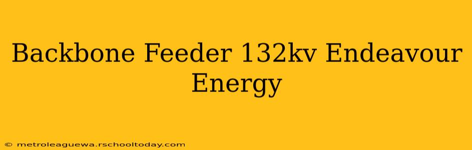 Backbone Feeder 132kv Endeavour Energy