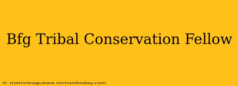 Bfg Tribal Conservation Fellow