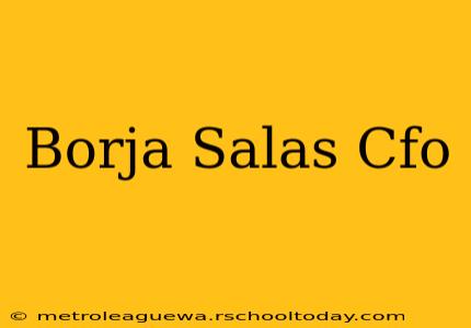 Borja Salas Cfo