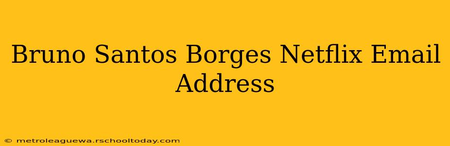 Bruno Santos Borges Netflix Email Address