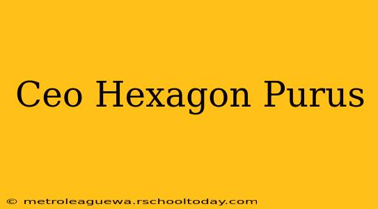 Ceo Hexagon Purus