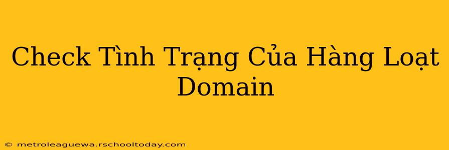 Check Tình Trạng Của Hàng Loạt Domain