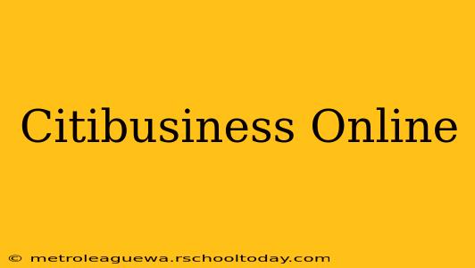 Citibusiness Online