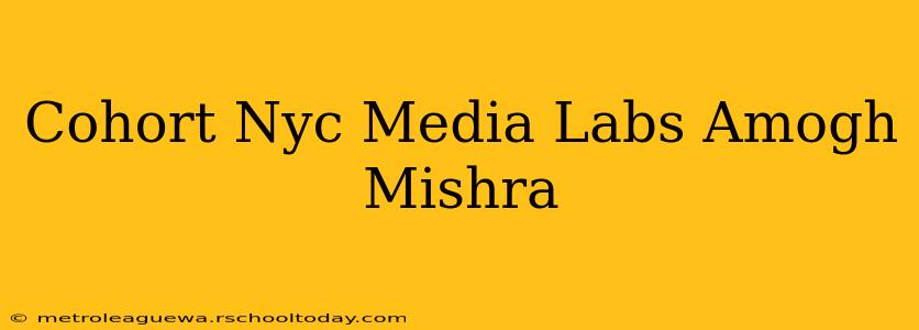 Cohort Nyc Media Labs Amogh Mishra