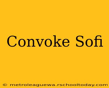 Convoke Sofi