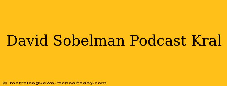 David Sobelman Podcast Kral