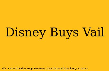 Disney Buys Vail