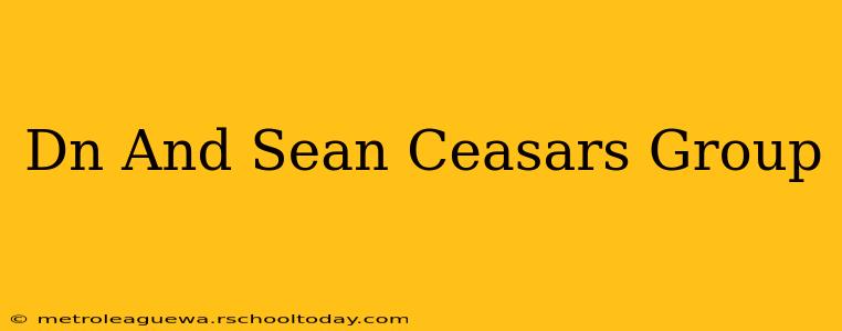 Dn And Sean Ceasars Group