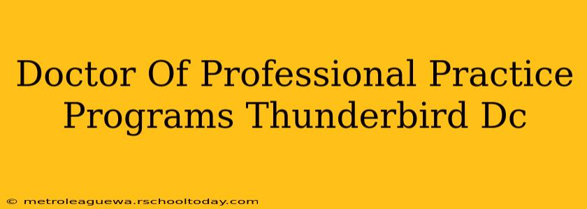 Doctor Of Professional Practice Programs Thunderbird Dc