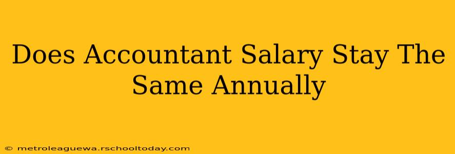 Does Accountant Salary Stay The Same Annually