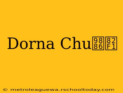 Dorna Chu领英