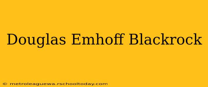 Douglas Emhoff Blackrock