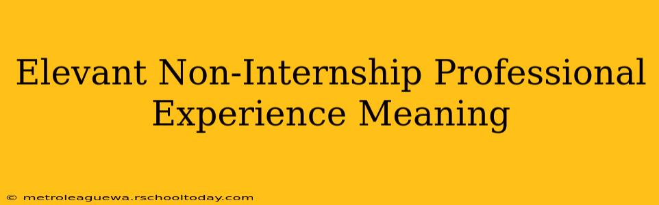 Elevant Non-Internship Professional Experience Meaning