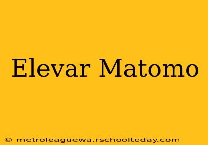 Elevar Matomo