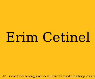 Erim Cetinel