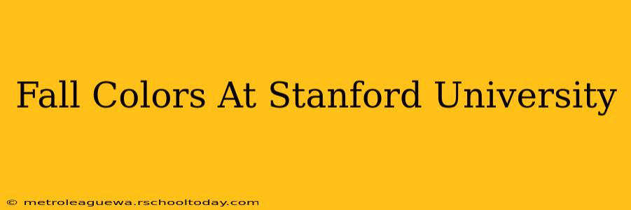 Fall Colors At Stanford University