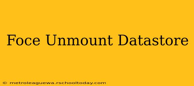 Foce Unmount Datastore