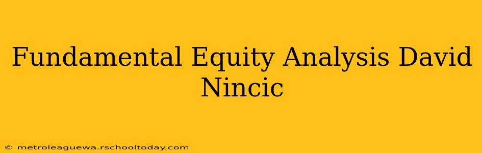 Fundamental Equity Analysis David Nincic