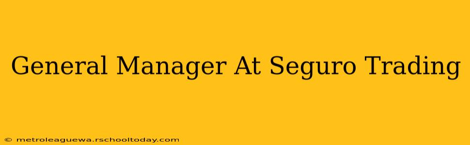 General Manager At Seguro Trading