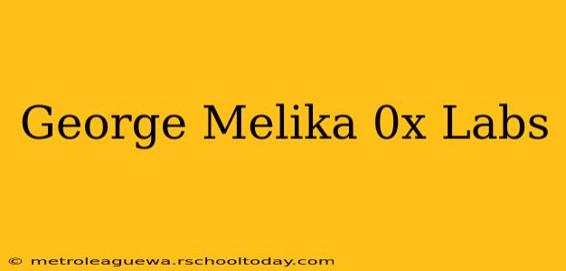 George Melika 0x Labs