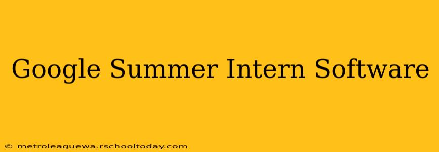 Google Summer Intern Software