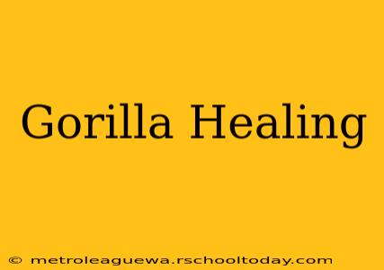 Gorilla Healing