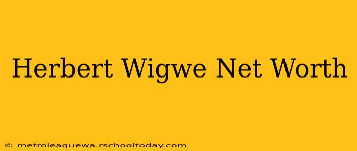 Herbert Wigwe Net Worth