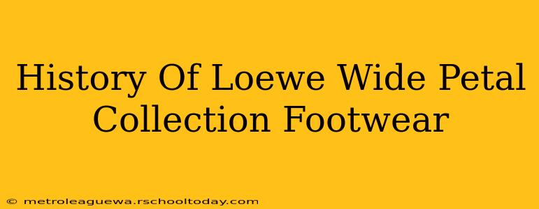 History Of Loewe Wide Petal Collection Footwear