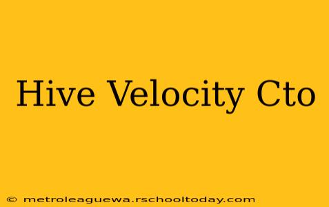 Hive Velocity Cto