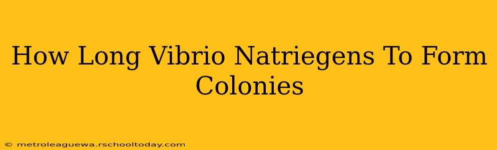 How Long Vibrio Natriegens To Form Colonies