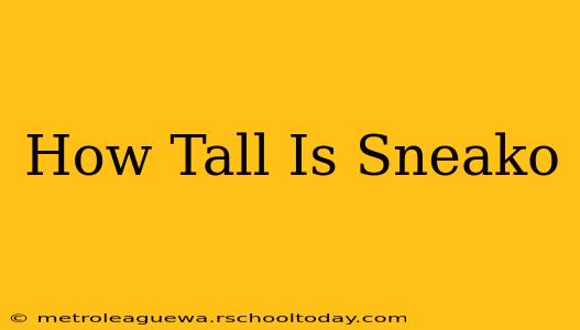 How Tall Is Sneako