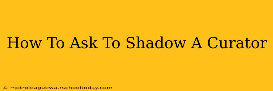 How To Ask To Shadow A Curator