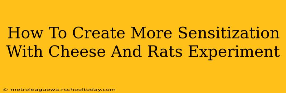 How To Create More Sensitization With Cheese And Rats Experiment