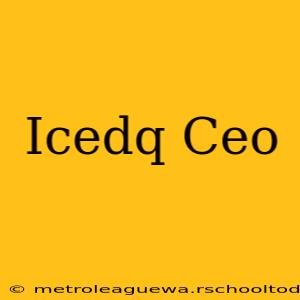 Icedq Ceo