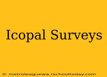 Icopal Surveys