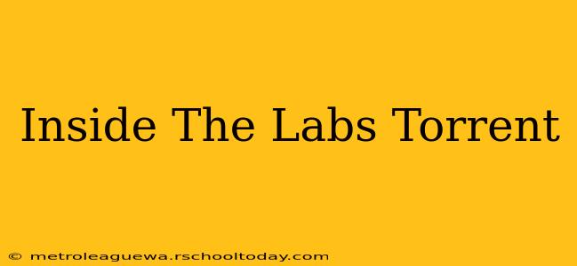 Inside The Labs Torrent