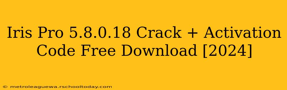 Iris Pro 5.8.0.18 Crack + Activation Code Free Download [2024]