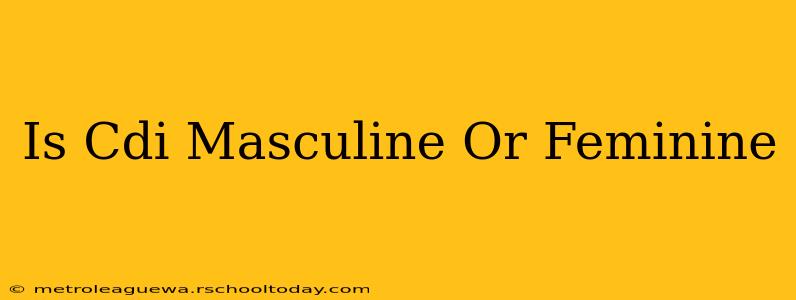 Is Cdi Masculine Or Feminine