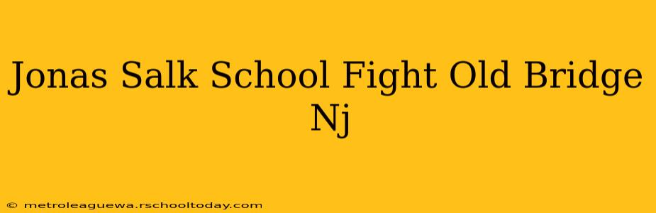 Jonas Salk School Fight Old Bridge Nj