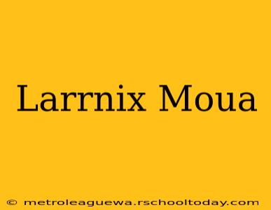 Larrnix Moua