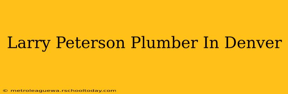 Larry Peterson Plumber In Denver