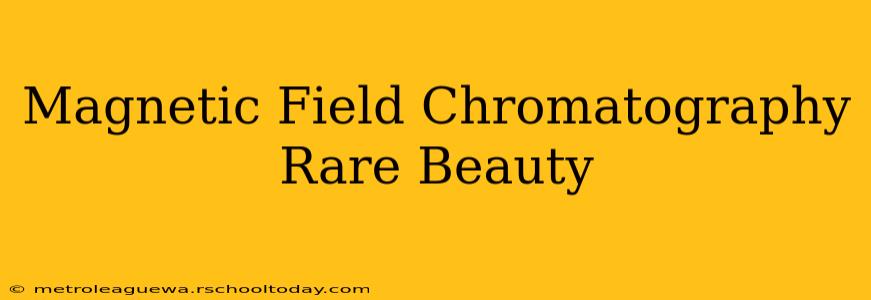 Magnetic Field Chromatography Rare Beauty