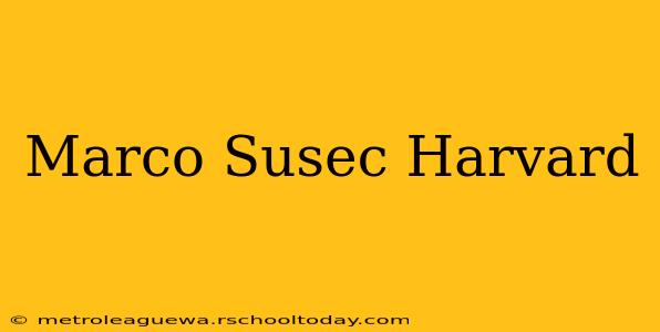 Marco Susec Harvard